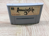 Romancing Sa Ga 3 Boxed Nintendo Super Famicom SNES Japan - UF5920