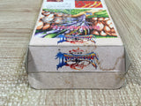 Breath of Fire 2 Shimei no Ko Boxed Nintendo Super Famicom SNES Japan - UF5923