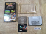 Ogre Battle The March of the Black Queen Boxed Super Famicom SNES Japan - UF5932
