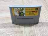 Dragon Ball Z Super Butouden Boxed Nintendo Super Famicom SNES Japan - UF5951