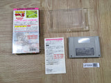Dragon Ball Z Goku Den Totsugeki Hen Boxed Super Famicom SNES Japan - UF5954