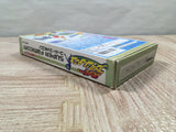 Super Family Tennis Boxed Nintendo Super Famicom SNES Japan - UF5967