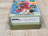 Super Family Tennis Boxed Nintendo Super Famicom SNES Japan - UF5967