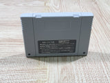 Dai Bakushou Jinsei Gekijou Ooedo Nikki Boxed Super Famicom SNES Japan - UF5973