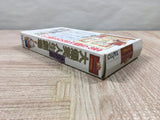 Dai Bakushou Jinsei Gekijou Ooedo Nikki Boxed Super Famicom SNES Japan - UF5973