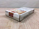 Dai Bakushou Jinsei Gekijou Ooedo Nikki Boxed Super Famicom SNES Japan - UF5973