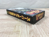Super Double Yakuman II 2 Mahjong Boxed Super Famicom SNES Japan - UF5975