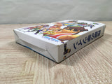 Flying Dragon Hiryu no Ken Twin Boxed Nintendo N64 Japan - UF5983
