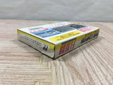 NAKAJIMA SATORU F1 HERO Boxed Nintendo Famicom NES Japan - UF6027