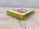 Sugoro Quest Boxed Nintendo Famicom NES Japan - UF6030