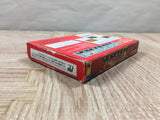 Tetris Flash Boxed Nintendo Famicom NES Japan - UF6032