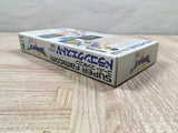 Dragon Quest V 5 Boxed Nintendo Super Famicom SNES Japan - UF6052