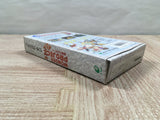 Wonder Project J Kikai no Shounen Pino Boxed Super Famicom SNES Japan - UF6072
