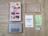 Hanjuku Hero Boxed Nintendo Super Famicom SNES Japan - UF6081