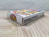 Hanjuku Hero Boxed Nintendo Super Famicom SNES Japan - UF6081