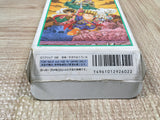 Hanjuku Hero Boxed Nintendo Super Famicom SNES Japan - UF6081