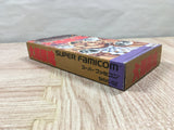 Spirit Ozumo Damashii Sumo Boxed Nintendo Super Famicom SNES Japan - UF6090