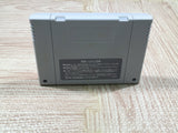 Exhaust Heat F1 ROC Race of Champions Boxed Super Famicom SNES Japan - UF6093