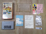 Dragon Quest VI 6 Boxed Nintendo Super Famicom SNES Japan - UF6144