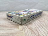 Dragon Quest V 5 Boxed Nintendo Super Famicom SNES Japan - UF6146
