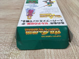 The Legend Of Zelda A Link to the Past Boxed Super Famicom SNES Japan - UF6165