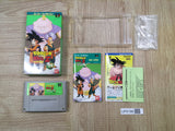 Dragon Ball Z Super Butouden 3 Boxed Nintendo Super Famicom SNES Japan - UF6188