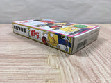 Ranma 1/2 Bakuretsu Rantou Hen Boxed Nintendo Super Famicom SNES Japan - UF6190