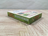 The Legend of Zelda Link's Awakening DX Boxed Nintendo GameBoy Japan - UF6220