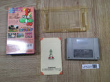 Super Mario World 2 Yoshi's Island Boxed Super Famicom SNES Japan - UF6228