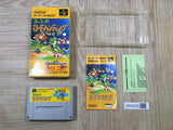 Yoshi no Road Hunting Yoshi's Safari Boxed Super Famicom SNES Japan - UF6229