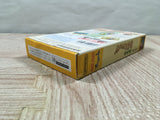 Yoshi no Road Hunting Yoshi's Safari Boxed Super Famicom SNES Japan - UF6229