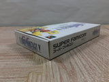 Final Fantasy 5 V Boxed Nintendo Super Famicom SNES Japan - UF6245