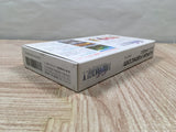 Final Fantasy 5 V Boxed Nintendo Super Famicom SNES Japan - UF6245