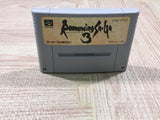 Romancing Sa Ga 3 Boxed Nintendo Super Famicom SNES Japan - UF6250