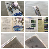 Bahamut Lagoon Boxed Nintendo Super Famicom SNES Japan - UF6251