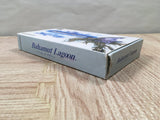 Bahamut Lagoon Boxed Nintendo Super Famicom SNES Japan - UF6252