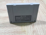 Drakkhen Boxed Nintendo Super Famicom SNES Japan - UF6259