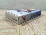 FirePro Joshi AllStarDreamSlam Boxed Super Famicom SNES Japan - UF6294