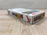 SD F1 Grand Prix Racing Boxed Nintendo Super Famicom SNES Japan - UF6298