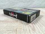 Romancing SaGa 2 - UF6352