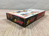 Hokuto no Ken 6 Fist of the North Star - UF6394