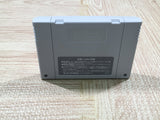 Lagoon Boxed Nintendo Super Famicom SNES Japan - UF6448