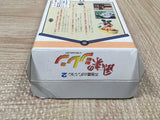 Mystery Dungeon Fushigi no Dungeon 2 Boxed Super Famicom SNES Japan - UF6453