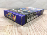 Chou Makaimura Super Ghouls 'n Ghosts Boxed Super Famicom SNES Japan - UF6466