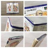 Fatal Fury Special Boxed Nintendo Super Famicom SNES Japan - UF6488