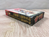 Art Of Fighting Boxed Nintendo Super Famicom SNES Japan - UF6490