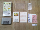 Harvest Moon Bokujou Monogatari Boxed Nintendo Super Famicom SNES Japan - UF6508