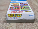 Hiryu no Ken Densetsu Flying Dragon Boxed Nintendo N64 Japan - UF6516