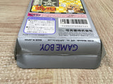 Mario's Picross Boxed Nintendo GameBoy Japan - UF6524