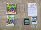 Dragon Quest Monsters 2 Ruka Boxed Nintendo GameBoy Japan - UF6528